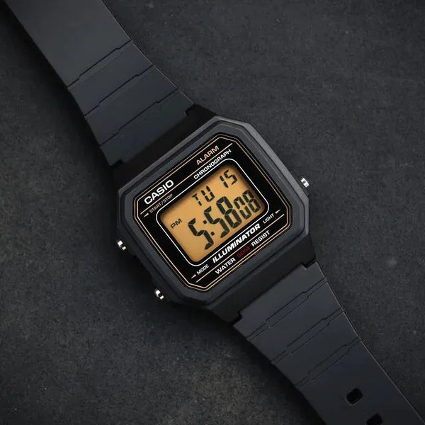 Casio W-217H-9AVDF Watch – New World