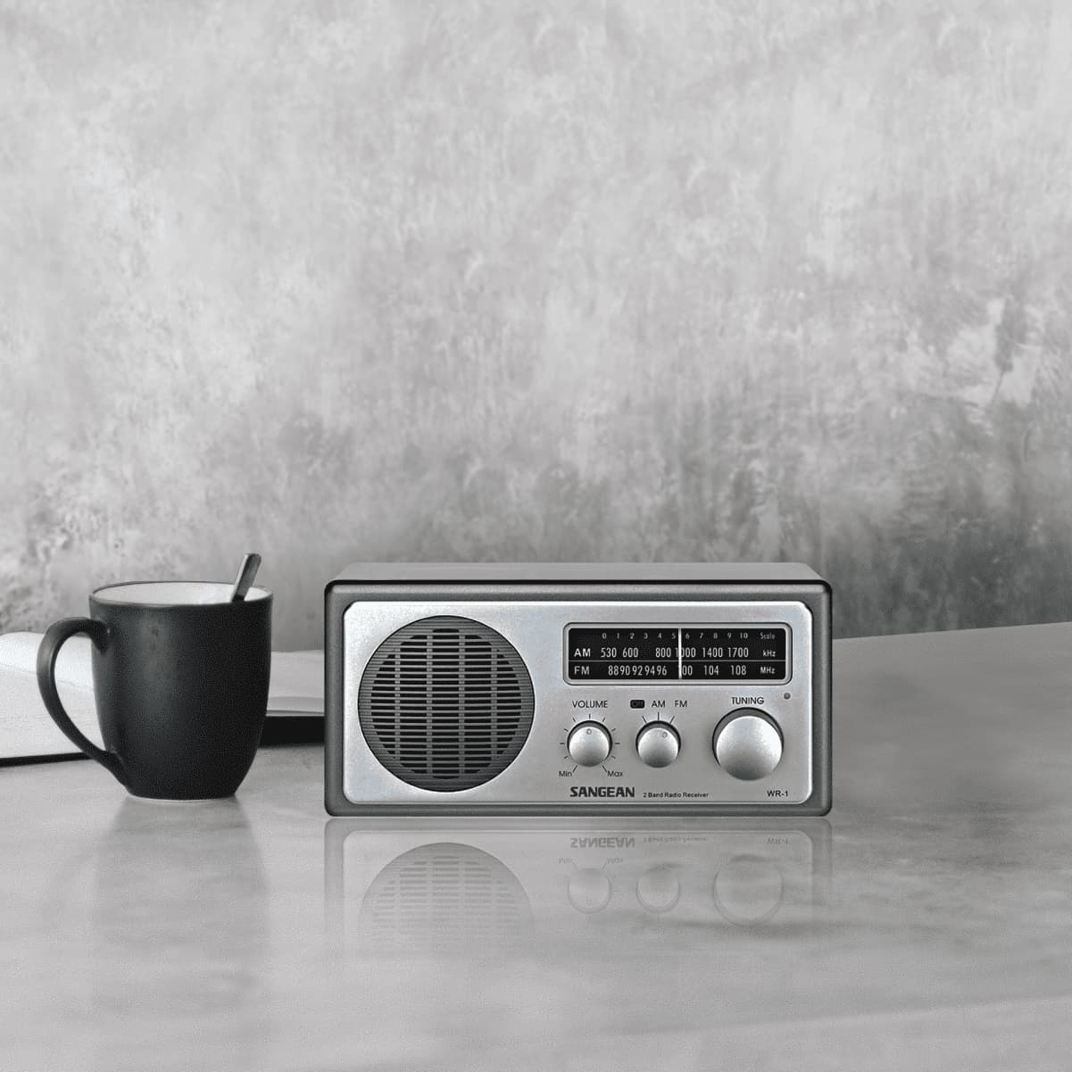 Sangean WR-1 AM / FM Clear Cabinet Radio - Silver