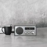 Sangean WR-1 AM / FM Clear Cabinet Radio - Silver