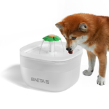 BNETA Pet Automated 2L Water Fountain W7