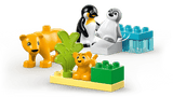10442 LEGO® DUPLO® Wild Animal Families: Penguins & Lions Set (DAMAGED BOX)