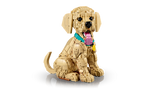 11384 LEGO® ICONS™ Golden Retriever Puppy