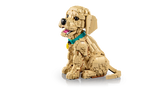 11384 LEGO® ICONS™ Golden Retriever Puppy