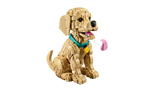 11384 LEGO® ICONS™ Golden Retriever Puppy