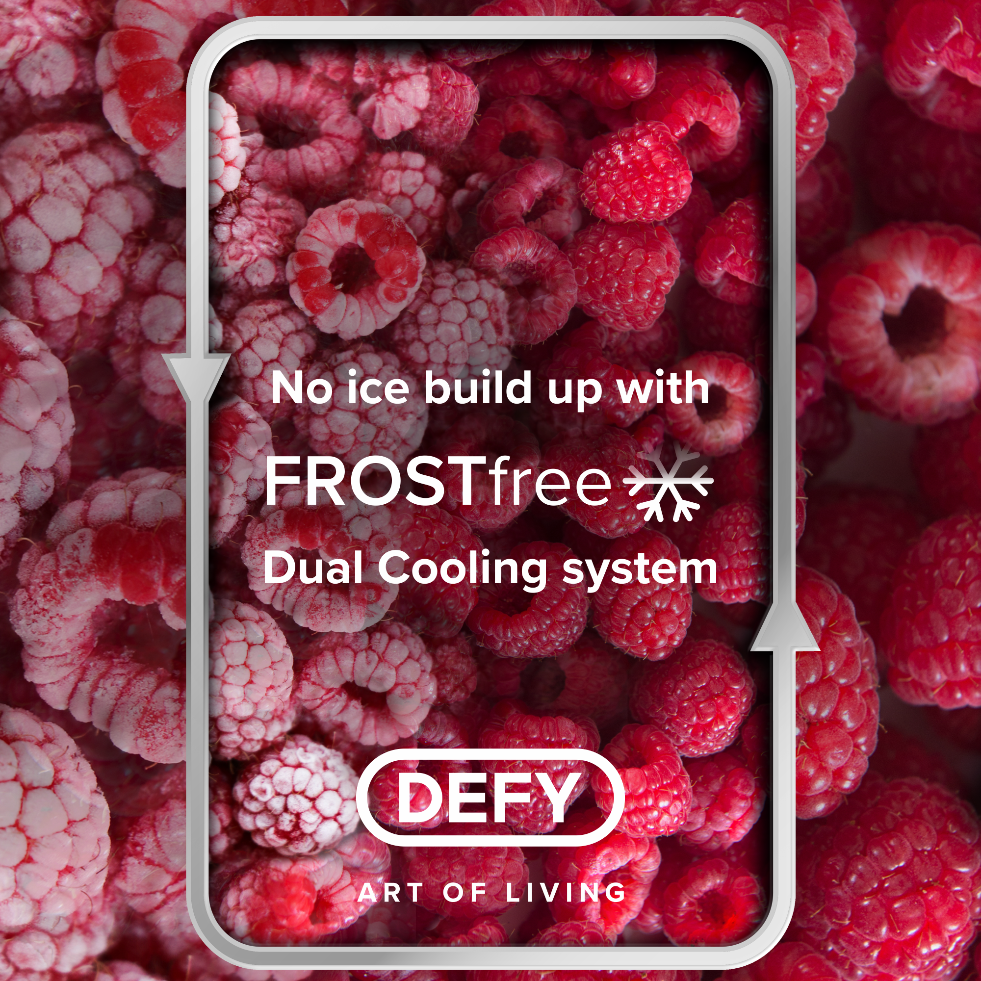 Defy DAC639 Fridge/Freezer – New World Defy DAC639 Fridge/Freezer – New World