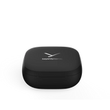 Beyerdynamic AMIRON 300 True Wireless Earphones - Black