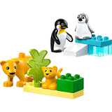 10442 LEGO® DUPLO® Wild Animal Families: Penguins & Lions Set (DAMAGED BOX)