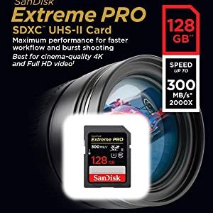 SanDisk Extreme Pro SDHC 128GB 300Mb/s – New World