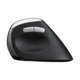 Rapoo EV250 Silent Mouse - Black