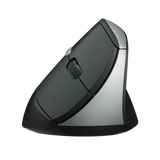 Rapoo EV250 Silent Mouse - Black