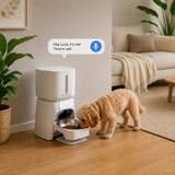 BNETA F24-C Smart WiFi Automatic Pet Feeder with HD Camera 6L