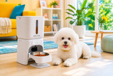 BNETA F24-C Smart WiFi Automatic Pet Feeder with HD Camera 6L