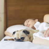 Bennett Read HVC503 Pet and Odour Remover