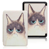 Kindle Touch 11th Generation Cover (2022-2024) - Cat