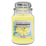 Yankee Candle Large Jar Candle -  Lemon-Lime Popsicle