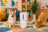 BNETA F24-DW Smart Wi-Fi Dual Automatic Pet Feeder with App Control & 6L Food Capacity