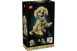 11384 LEGO® ICONS™ Golden Retriever Puppy