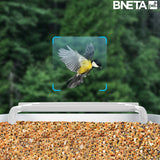 BNETA Pet Smart AI Birdfeeder BF002