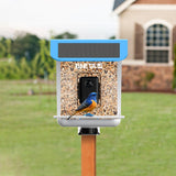 BNETA Pet Smart AI Birdfeeder BF002