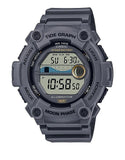 Casio WS-1300H-8AVDF Watch