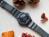 Casio W-219H-8BVDF Watch