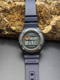 Casio W-216H-2BVDF Watch