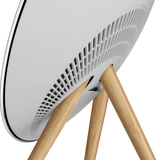 Bang & Olufsen Beosound A9 5th Gen Wireless Speaker - Natural Aluminium