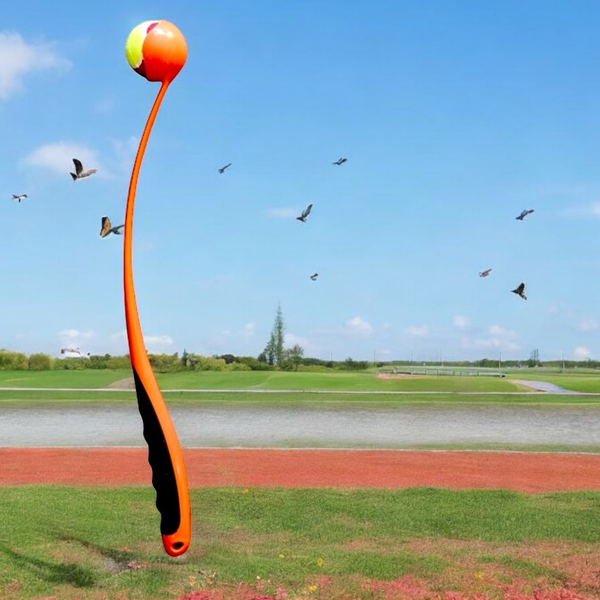 Pawise Interactive Ball Launcher With Durable Tennis Ball And Flash Ba ...