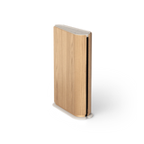 Bang & Olufsen Beosound Emerge Wifi Speaker - Gold Tone