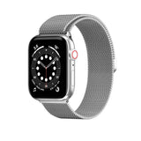 SwitchEasy Mesh Stainless Steel Apple Watch Loop (42mm +) - Silver
