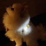 Kikkerland Light Up Name Tag