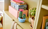 11509 LEGO® Botanicals Flowering Cactus