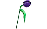 11501 LEGO® Botanicals Tulip Bouquet