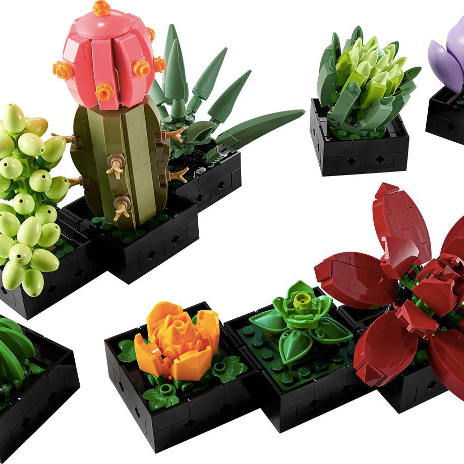 lego 10309 creator expert succulents 10309 LEGO® ICONS™ Succulents – New World