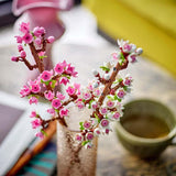 40725 LEGO® Iconic Cherry Blossoms