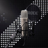 RODE Studio Condenser Microphone - NT1 5th Gen Silver