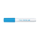 Pilot Pintor Water-based pigment ink Marker - Fine 1.0mm - New World